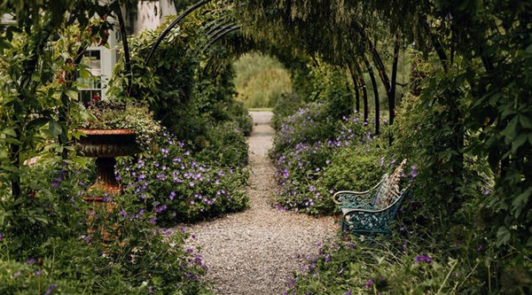 Romantic garden walkway framed by greenery and blossoms